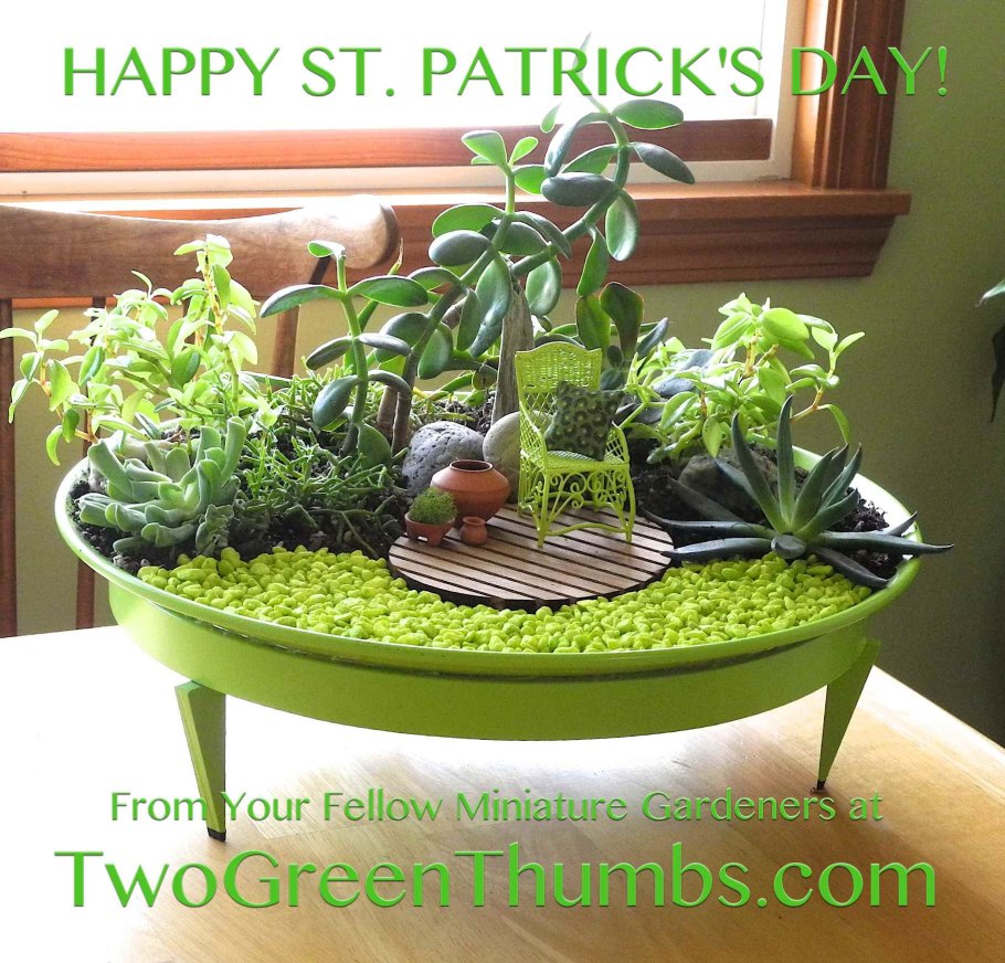 Сад на подоконнике