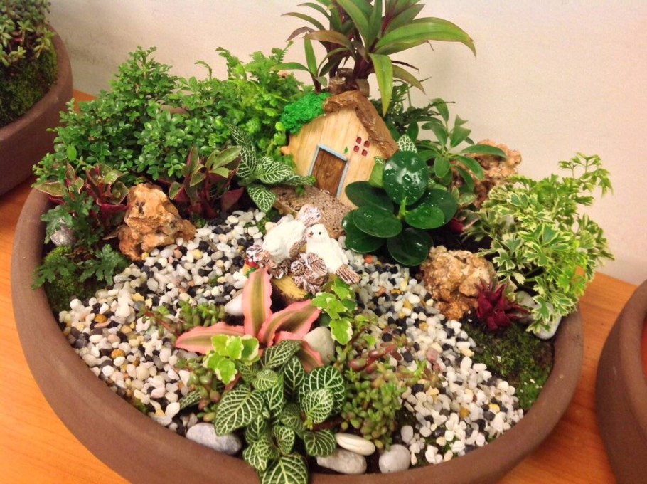 Красивая рассада