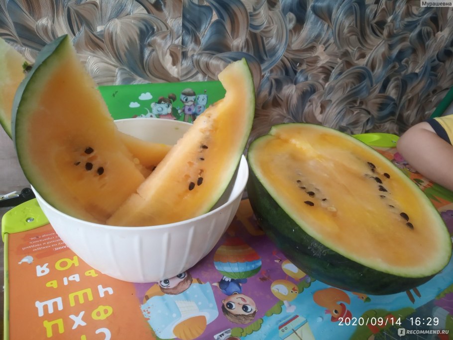 Оранжевый Арбуз сорт