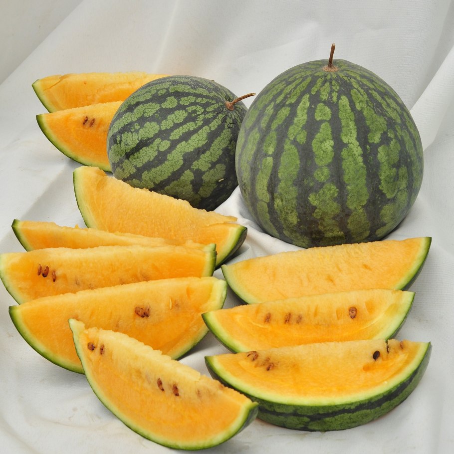 Оранжевый Арбуз