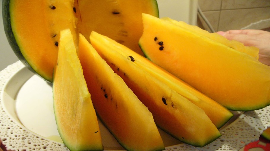 Желтый Арбуз селекция