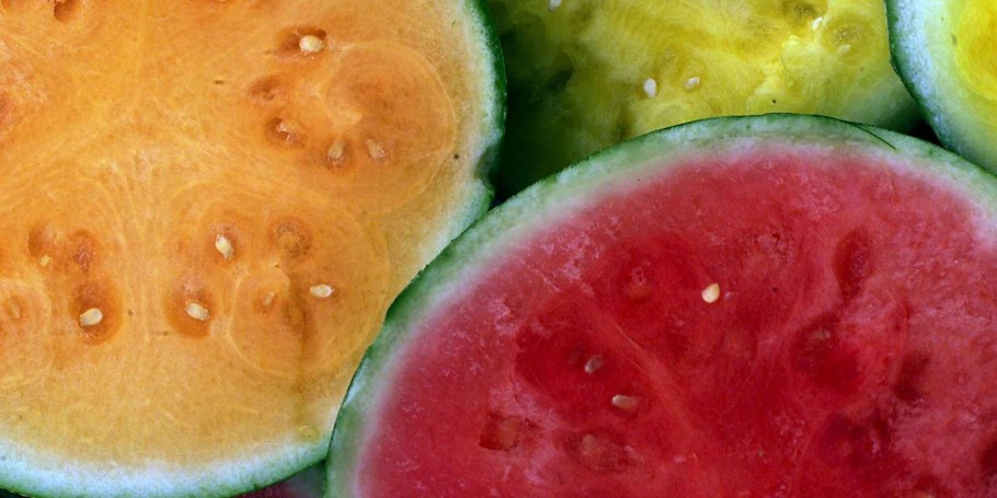 Кавбуз (гибрид тыквы и арбуза)