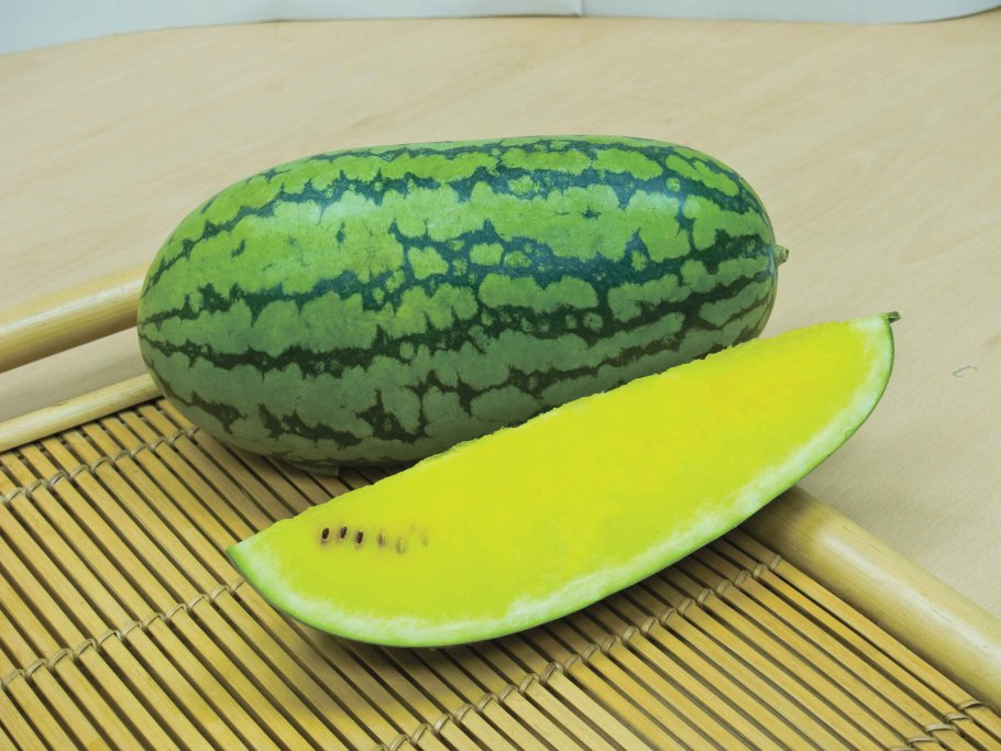 Арбузы ГМО сорта