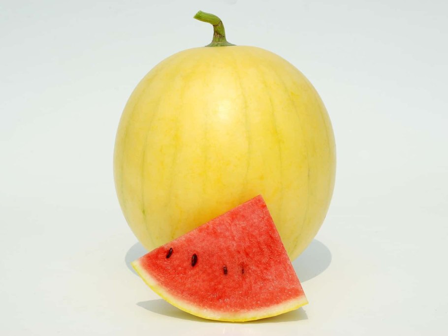 Арбуз съедобный