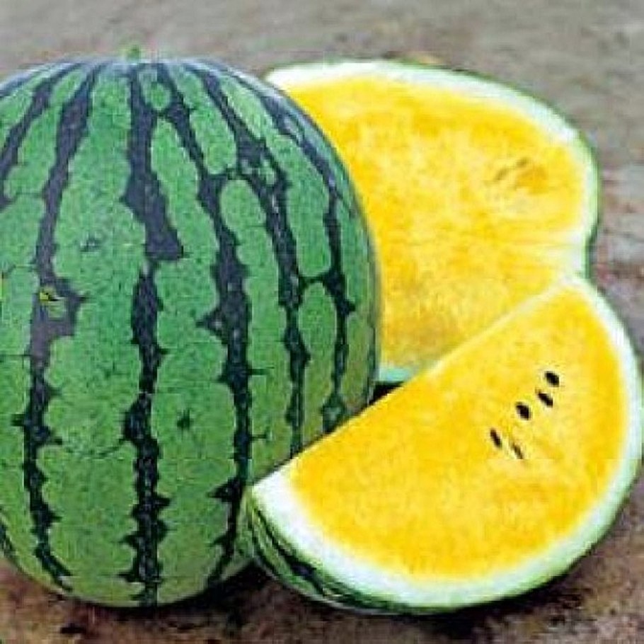 Watermelon orangeglo