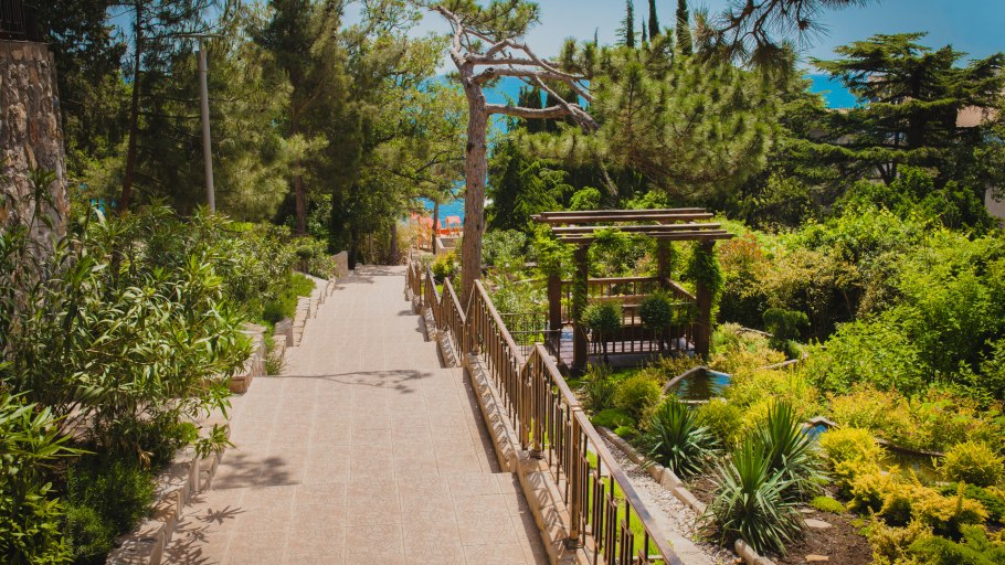 Пицундская реликтовая роща Абхазия