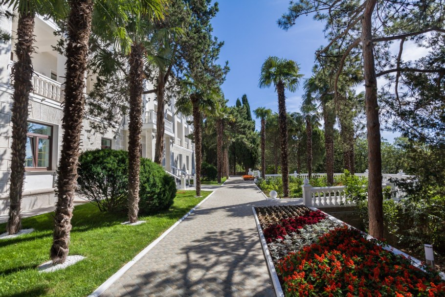 Роща пицундской сосны Абхазия