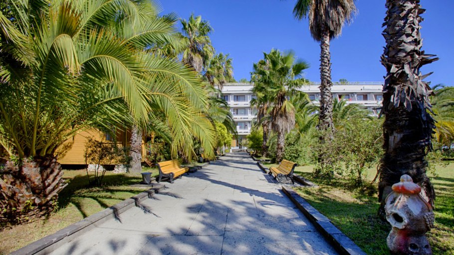 Сосновая роща озеро