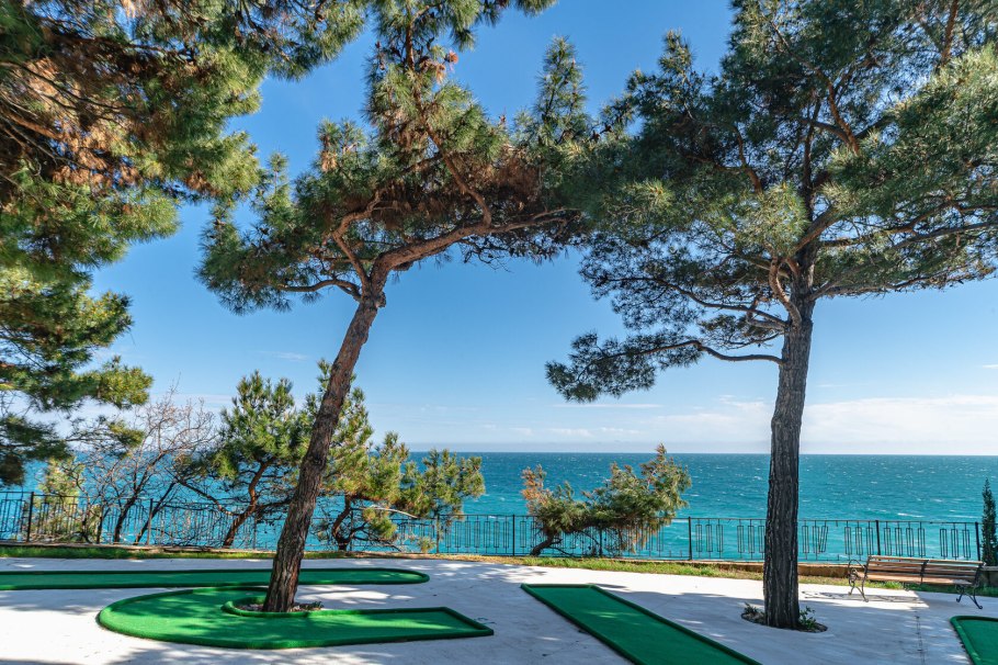 Сосновая роща Абхазия Пицунда