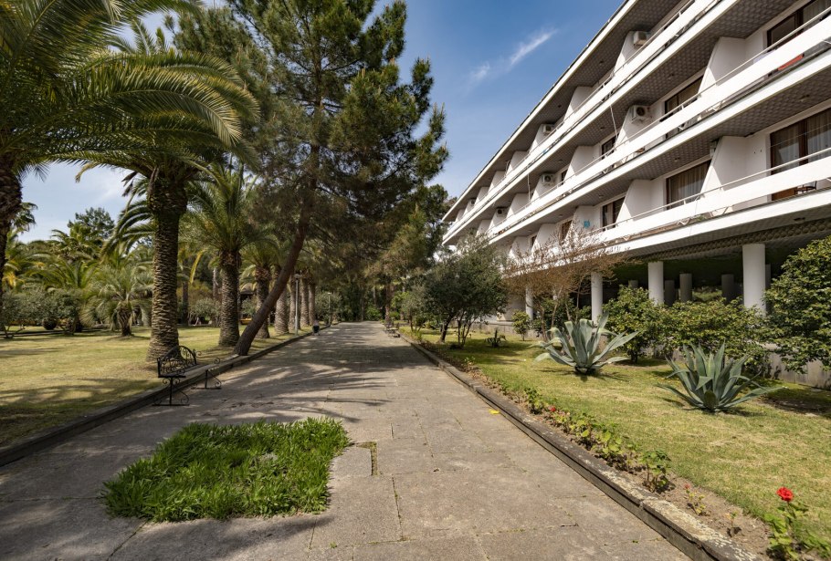 Сосновая роща Пицунда