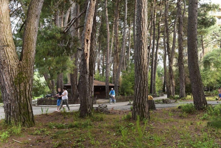 Санаторий Сосновая роща Курганская