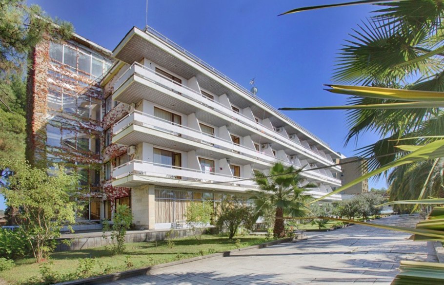 Сосновая роща Абхазия Пицунда