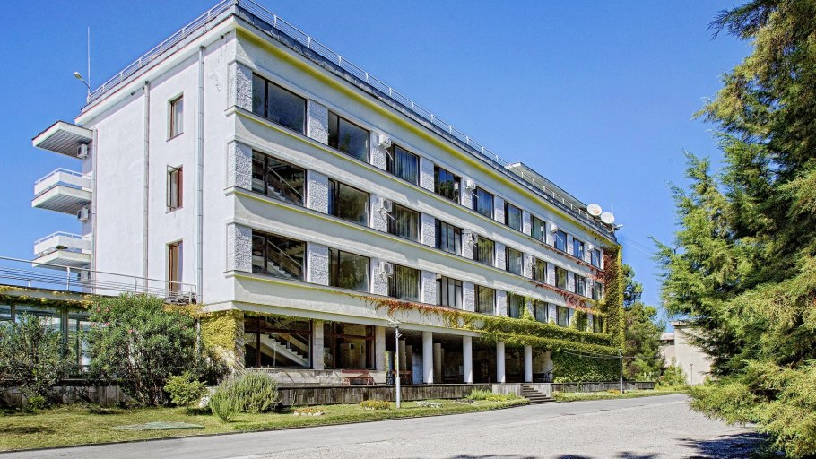 Сосновая роща Йошкар- Ола сосна