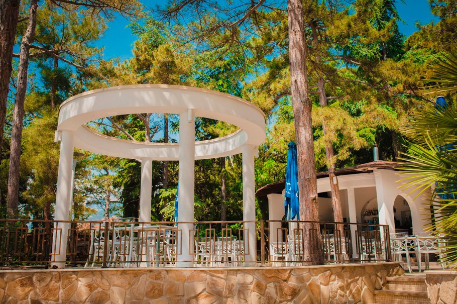 Санаторий Сосновая роща Пицунда Абхазия