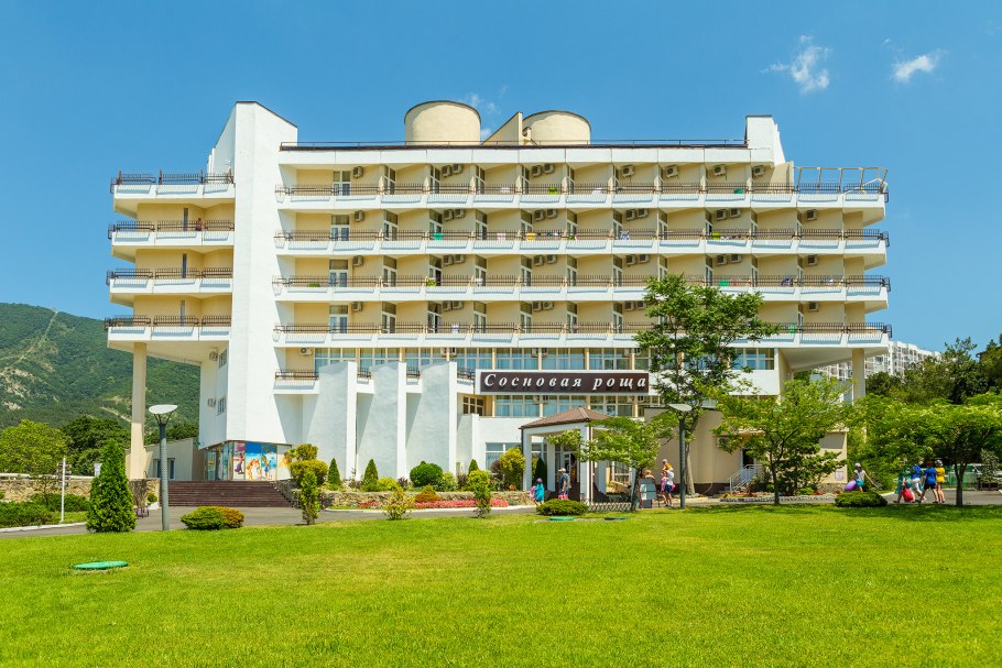 Сосновая роща Крым Гаспра