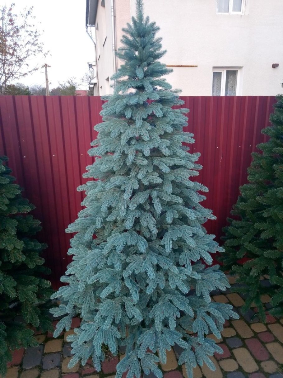 Ель литая голубая "Кремлевская" 180 см