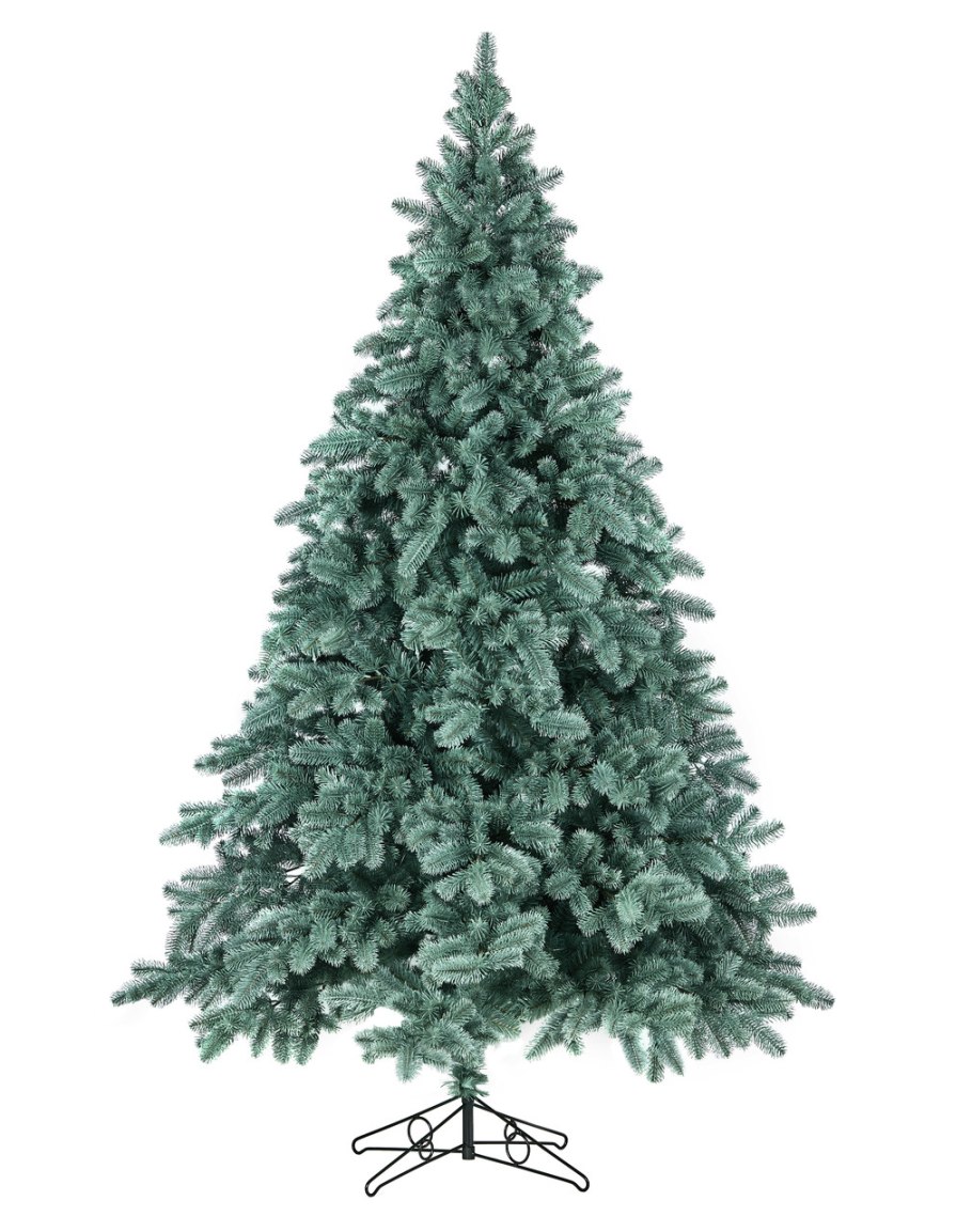 Смерека ель Элит