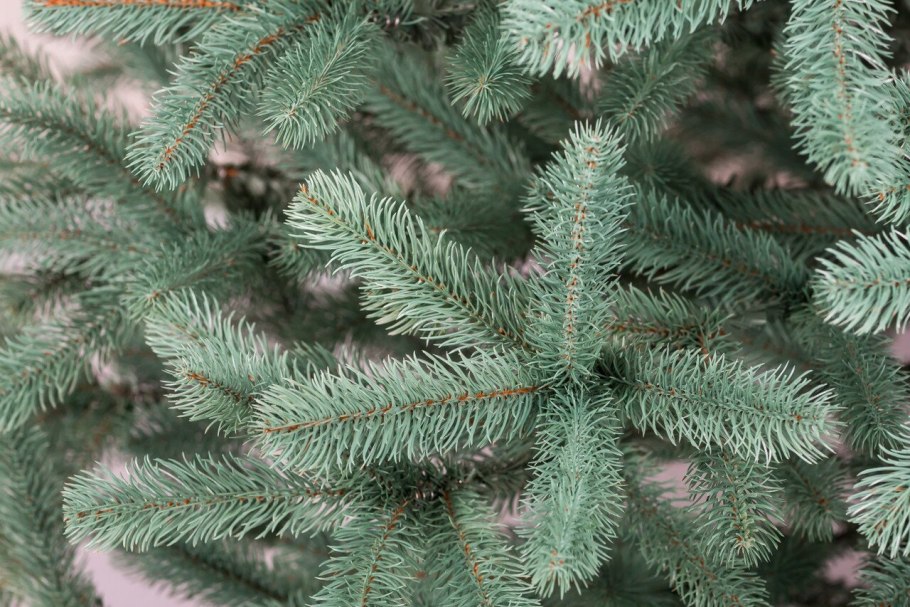 Наша ёлка ель искусственная Полярная голубая 1.95 м