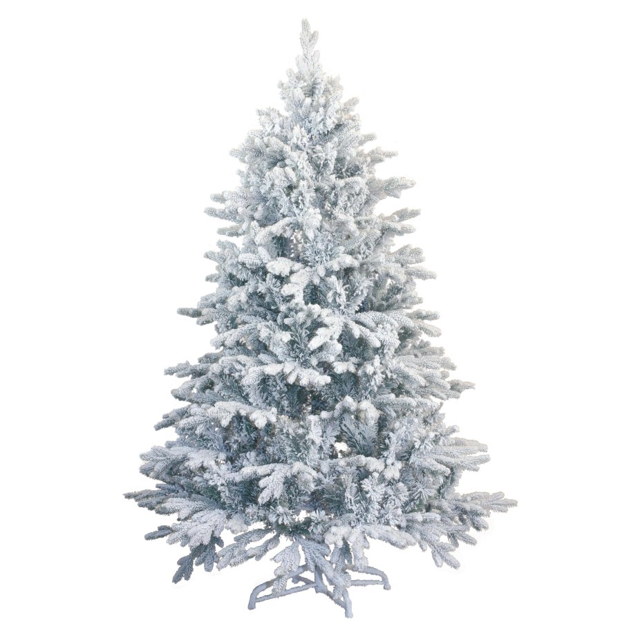 Ель литая голубая зеленая