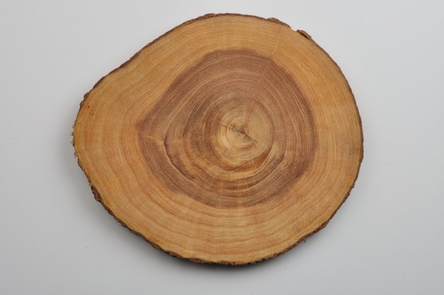 Волокнистая структура древесины