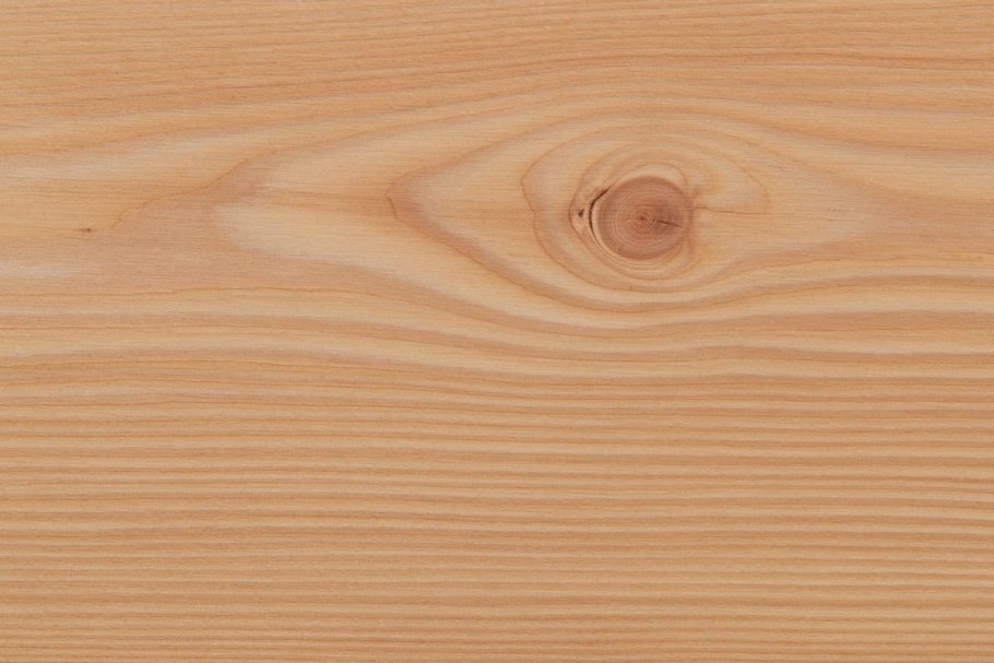 Пихта Сибирская Ботаническая