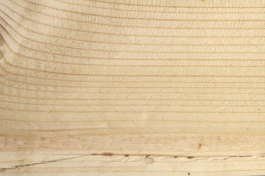 Ель Шренка шишки