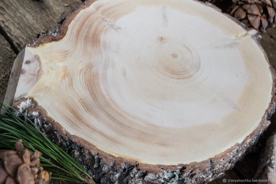 Ель канадская Picea glauca