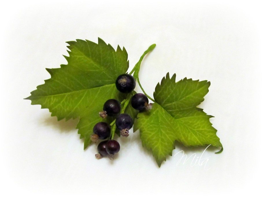 Лист смородины