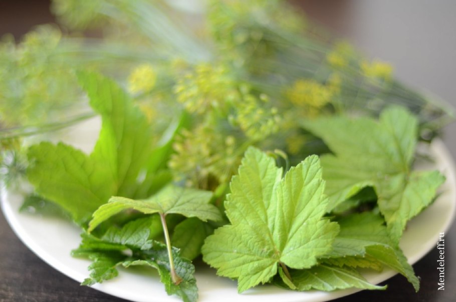 Смородиновый лист