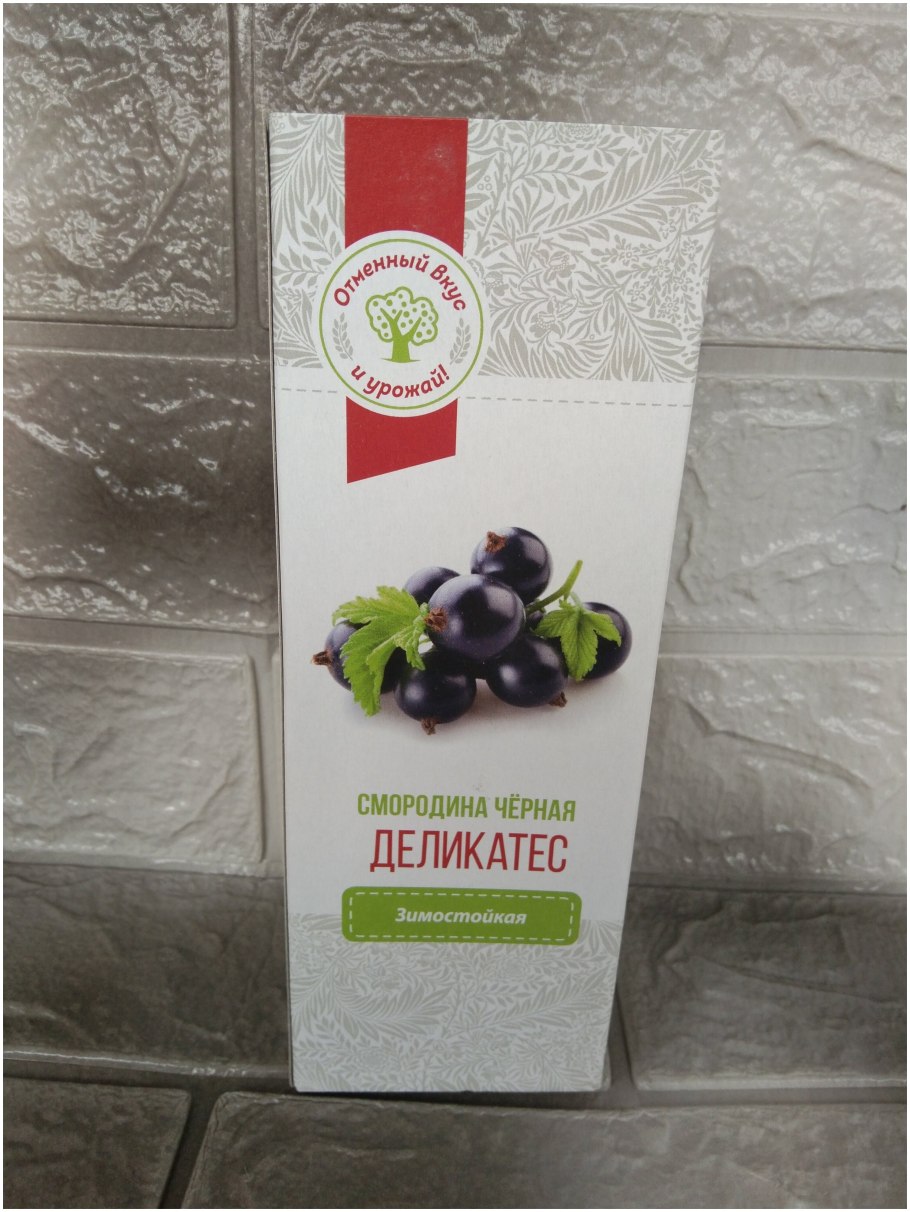 Смородина Александрина