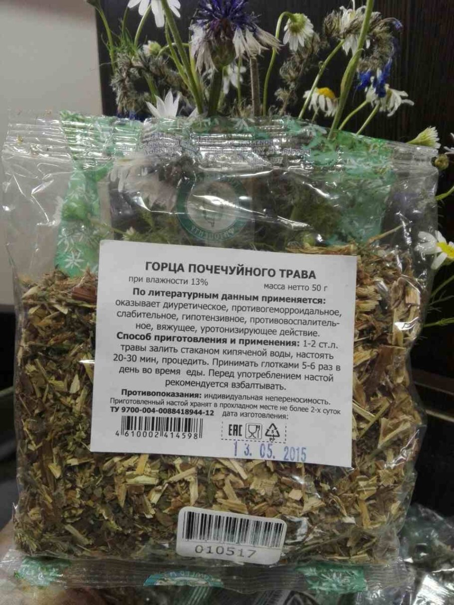 Спорыш трава