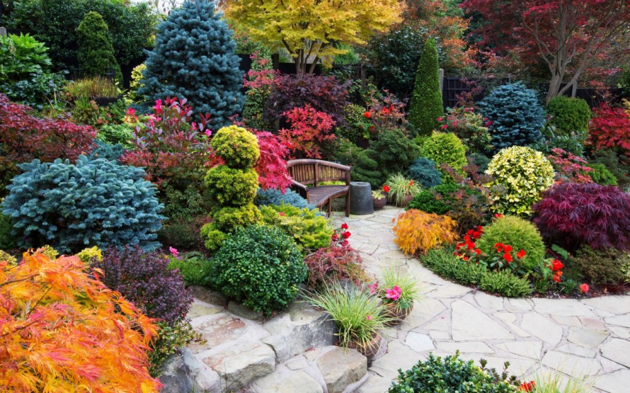 Овощной миксбордер