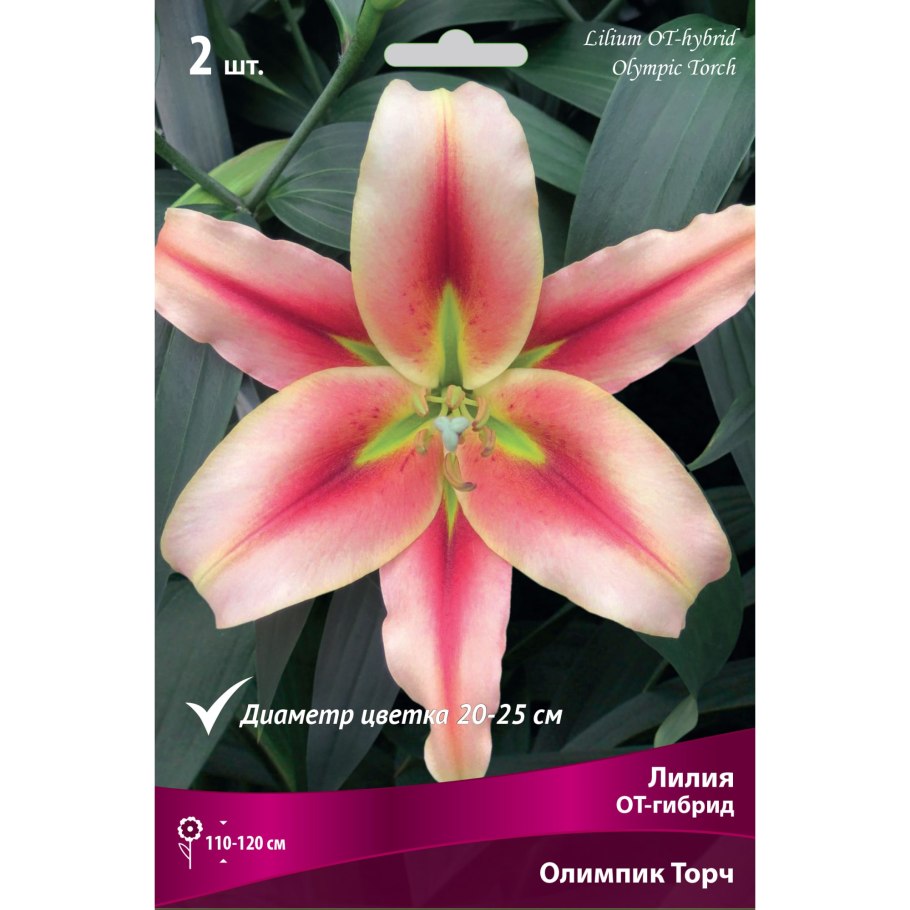 Лилия олимпик торч