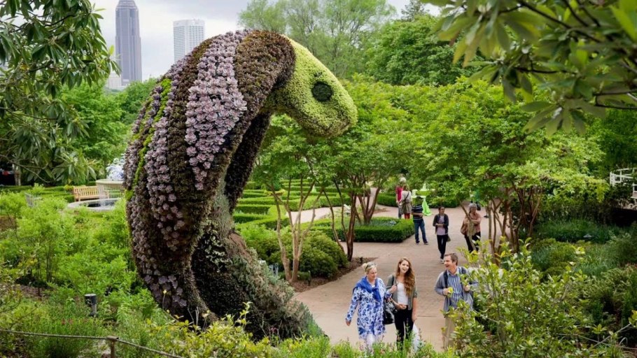 Гортензия метельчатая Полярный медведь