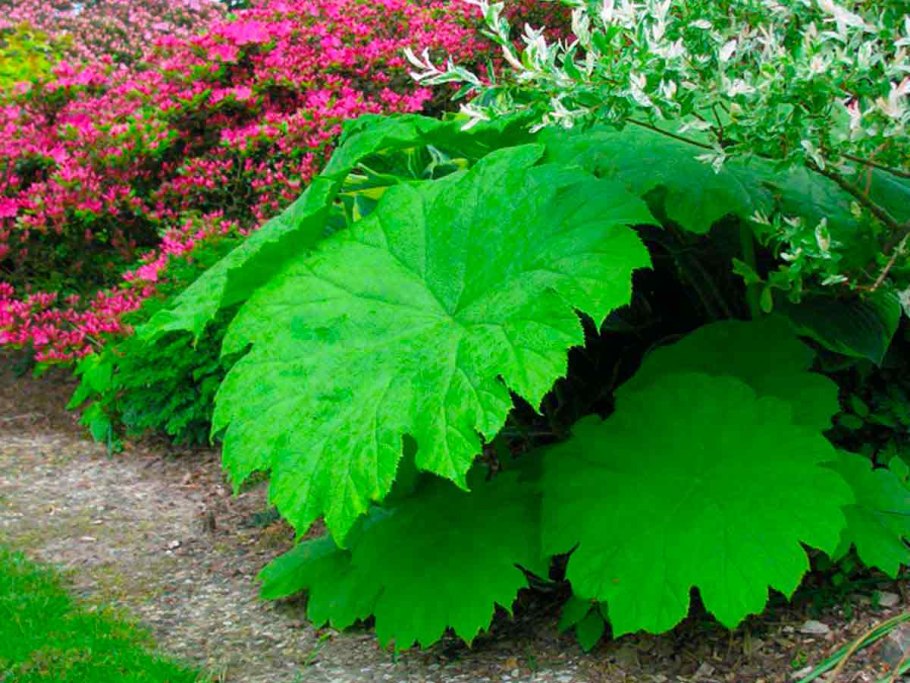 Jason Gamrath – стеклодув из Сиэтла