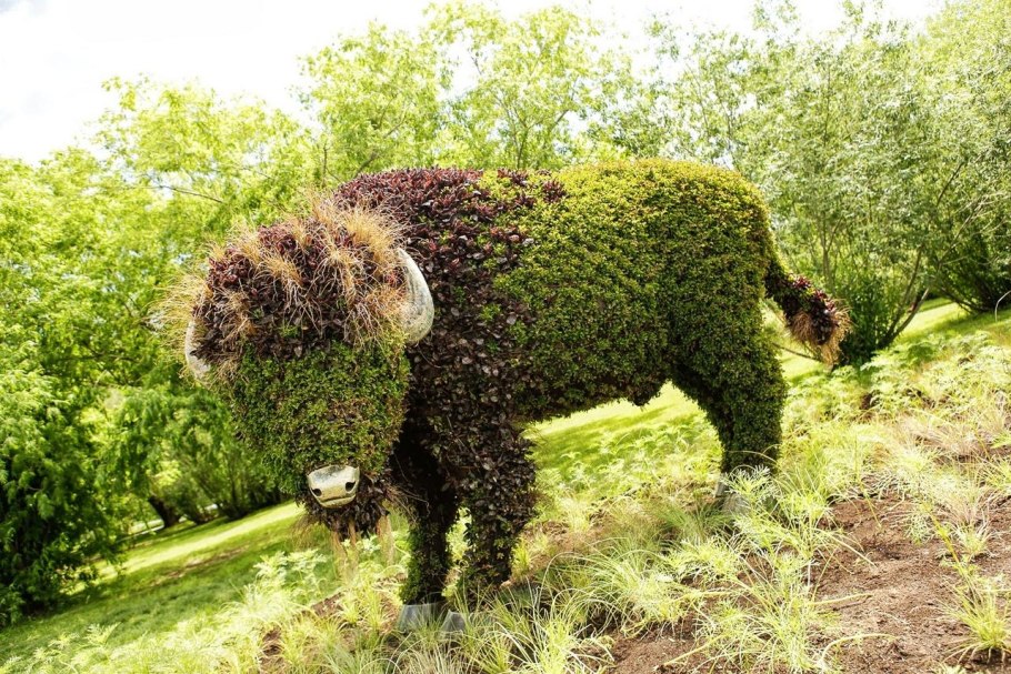 Монреальский Ботанический сад Канада