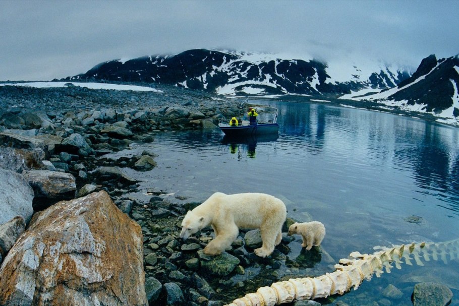Телецкое озеро Флора