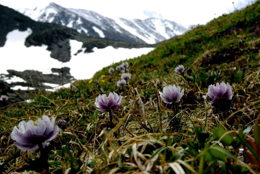 Буклет Кировская область заповедник Нургуш