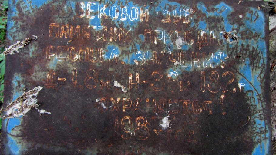 800 Летний дуб горки Ленинские