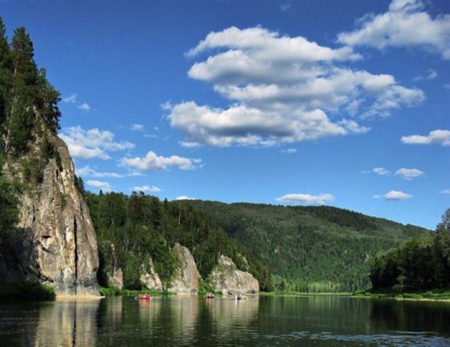 Лес на скалах