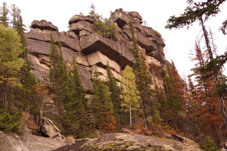 Шория Суани