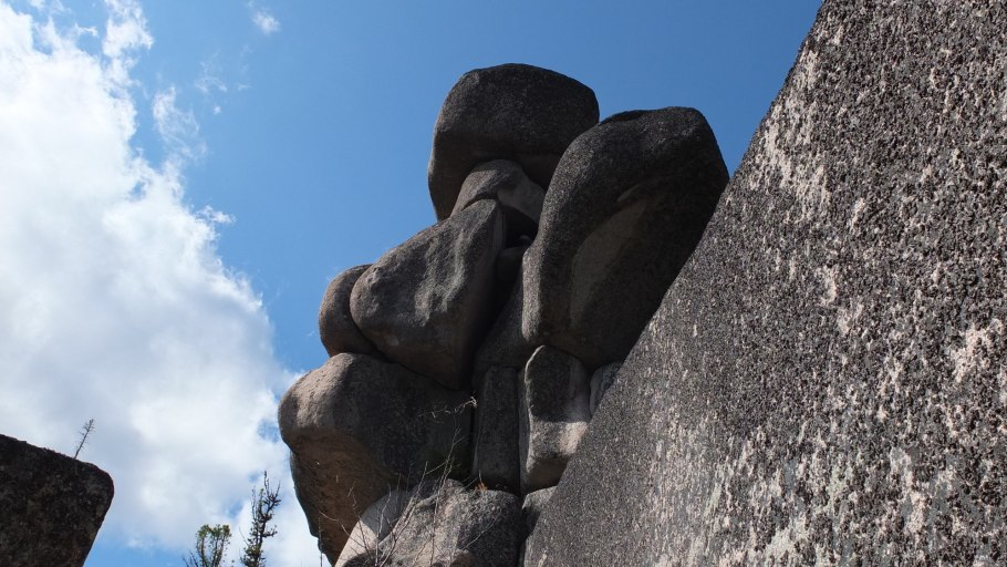 Горный цветок Зигальга