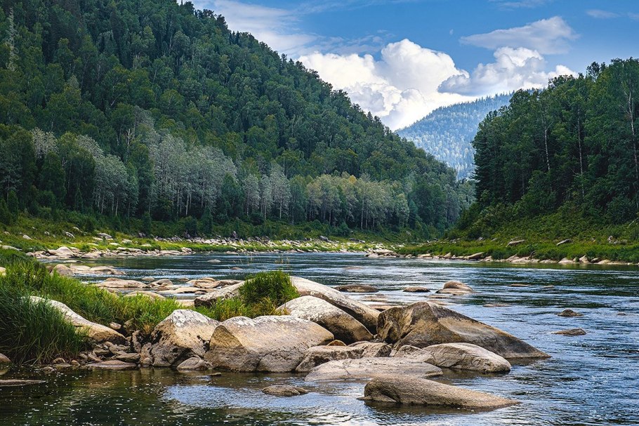 Шория Горная Трехречка