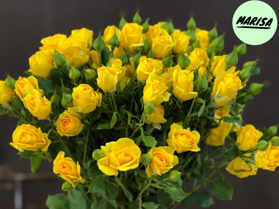 Роза Йеллоу флюорит