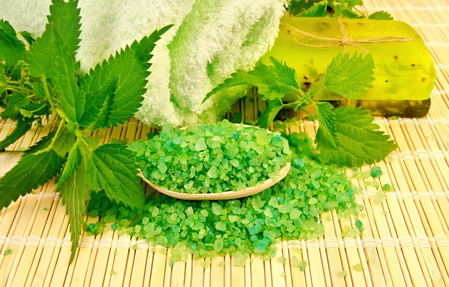 Крапива сфотканная на телефон