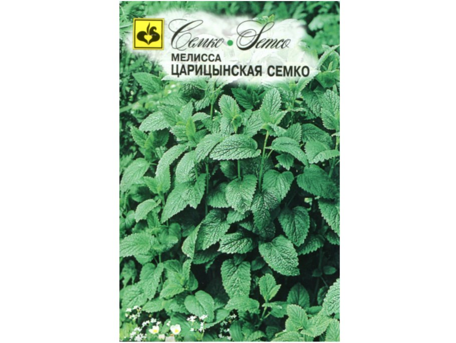 Мелисса куст