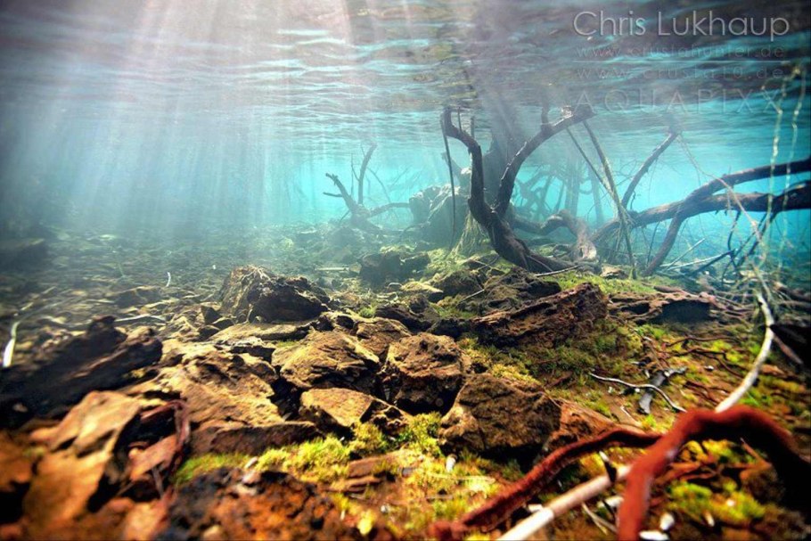 Коряга под водой