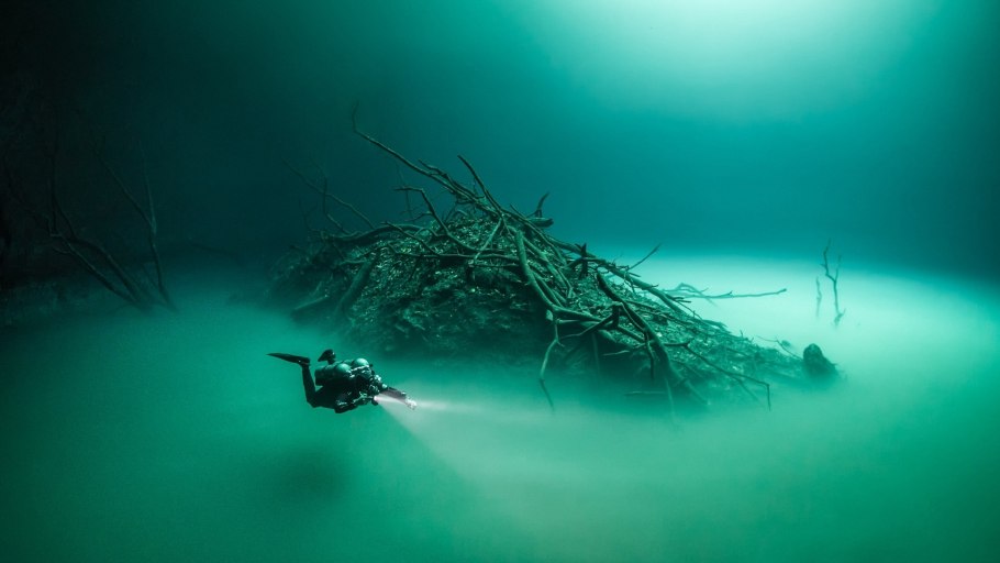Морские кораллы на Красном море