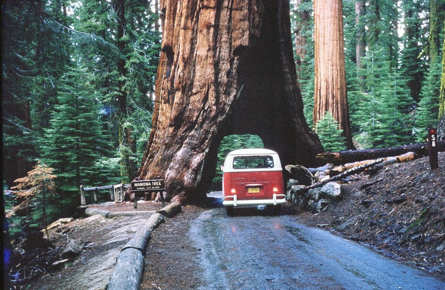 Национальный парк Секвойя Sequoia National Park Калифорния США