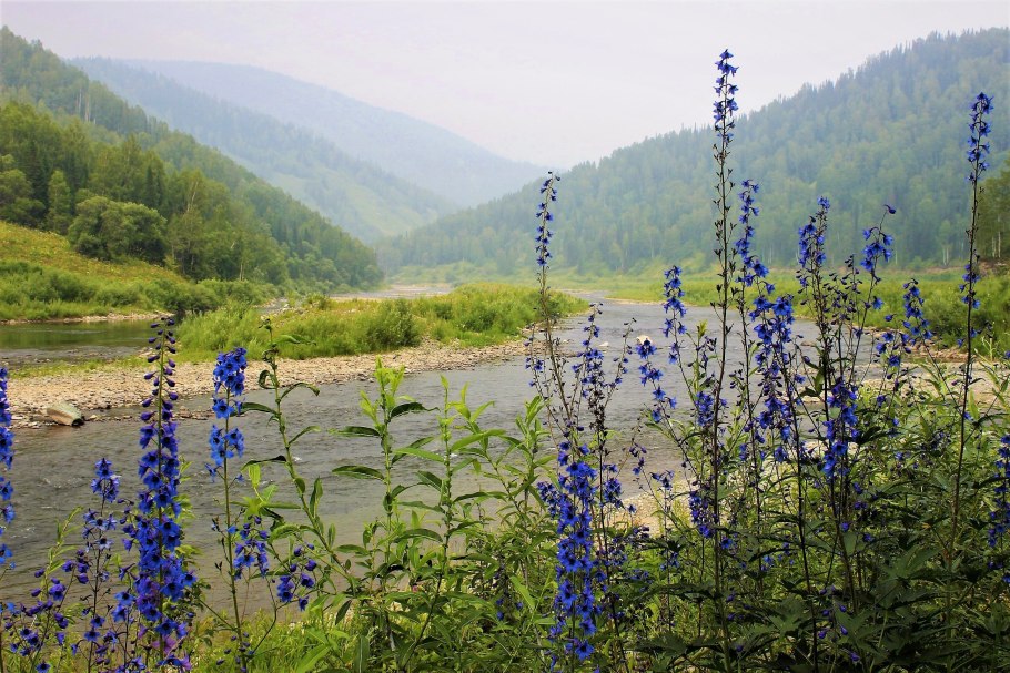 Мифы о цветах